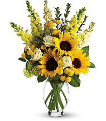 Here Comes The Sun by Teleflora from Backstage Florist in Richardson, Texas